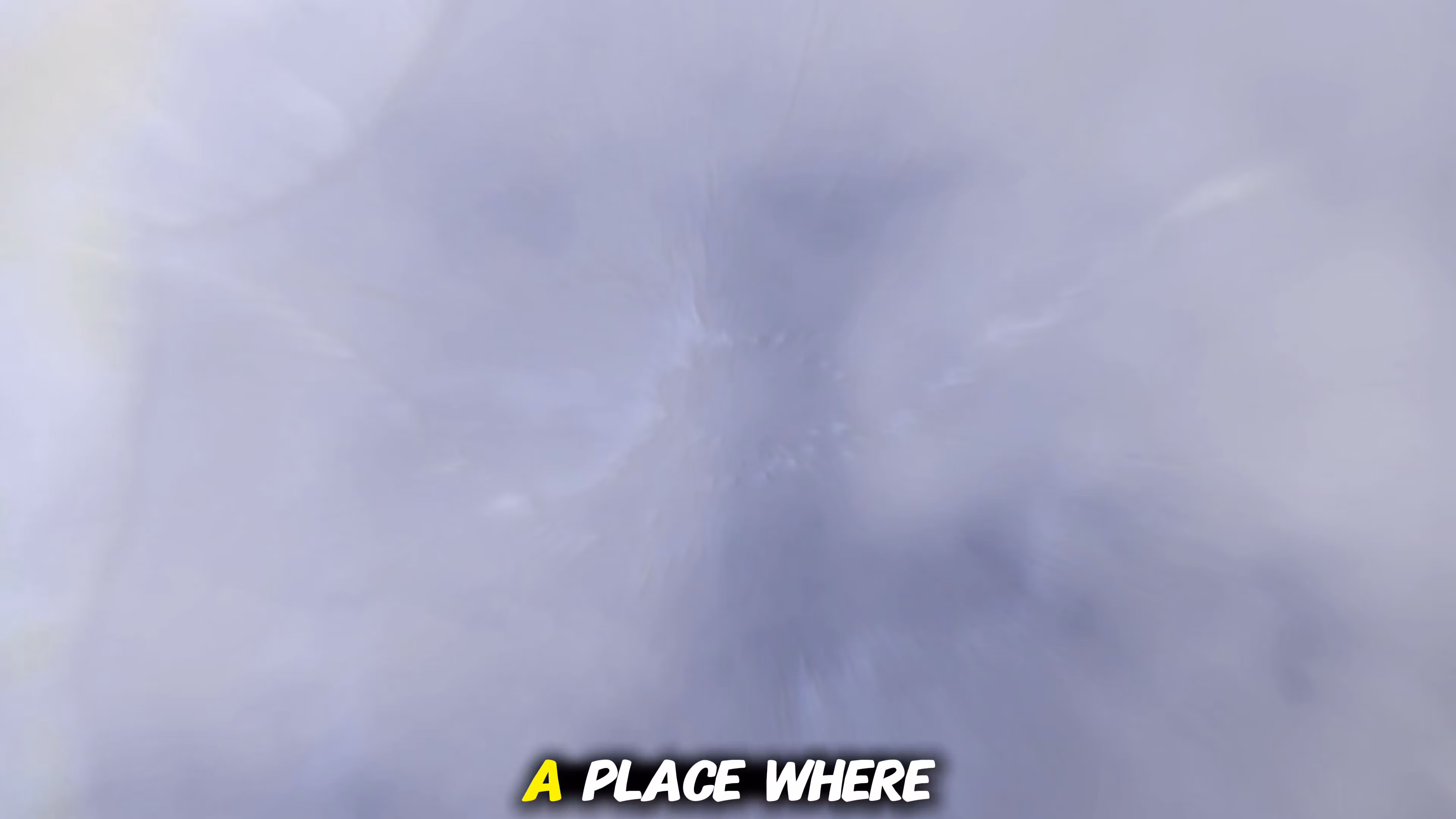 Billion Dollar Trades Premium