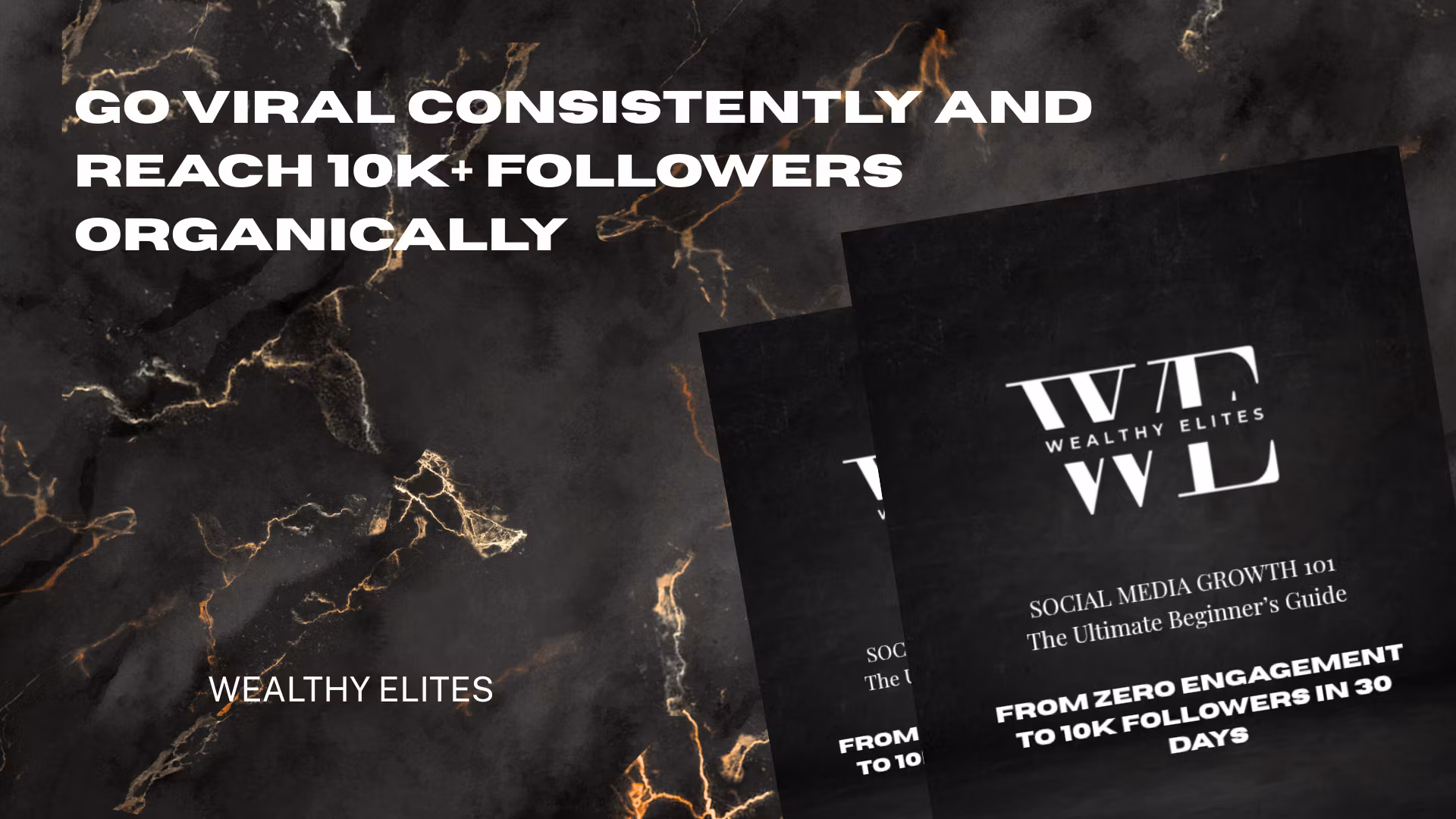 Social Media Growth 101 