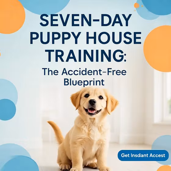 7Day Puppy House Training