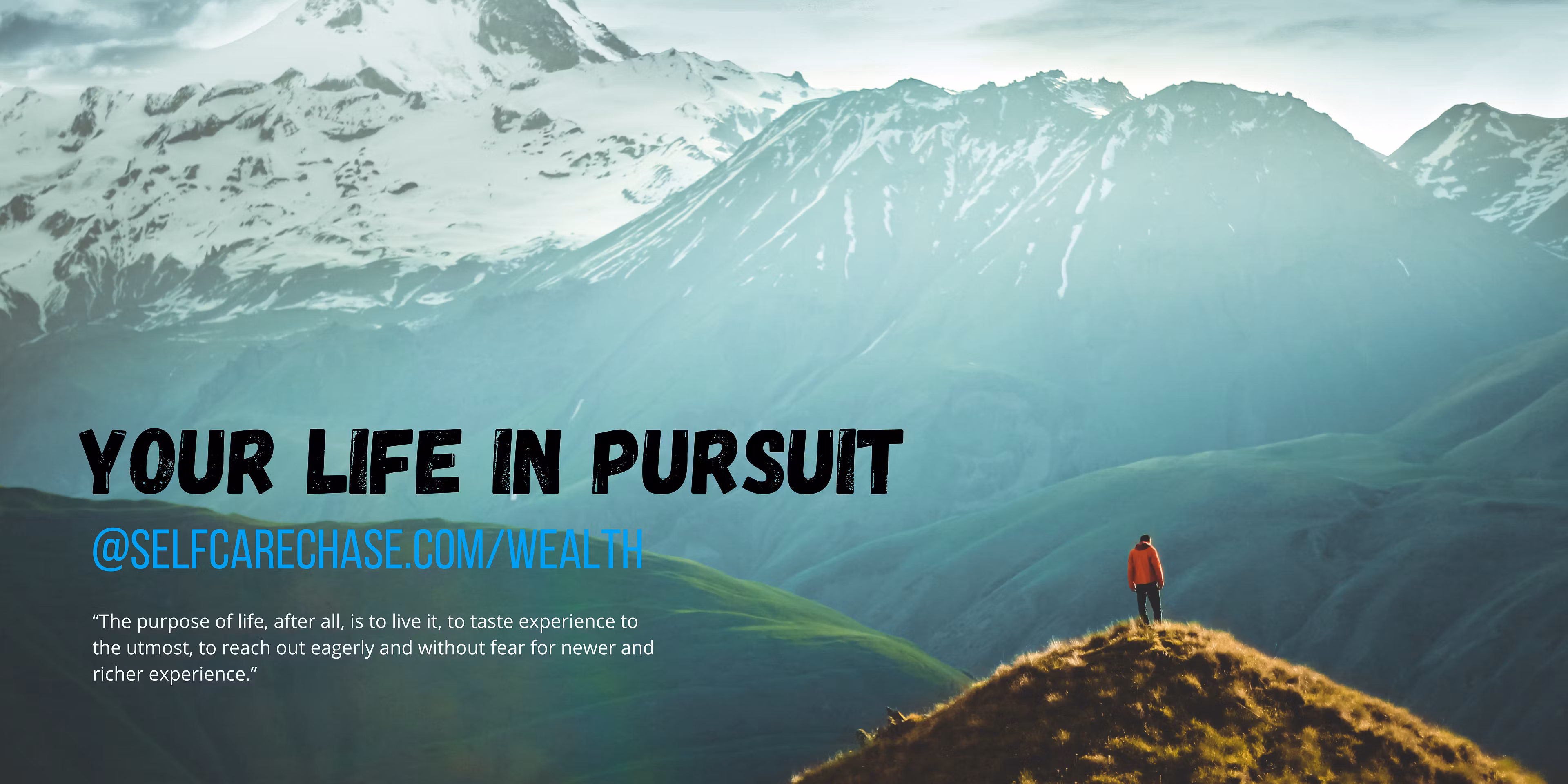 Your Life In Pursuit: Wealth