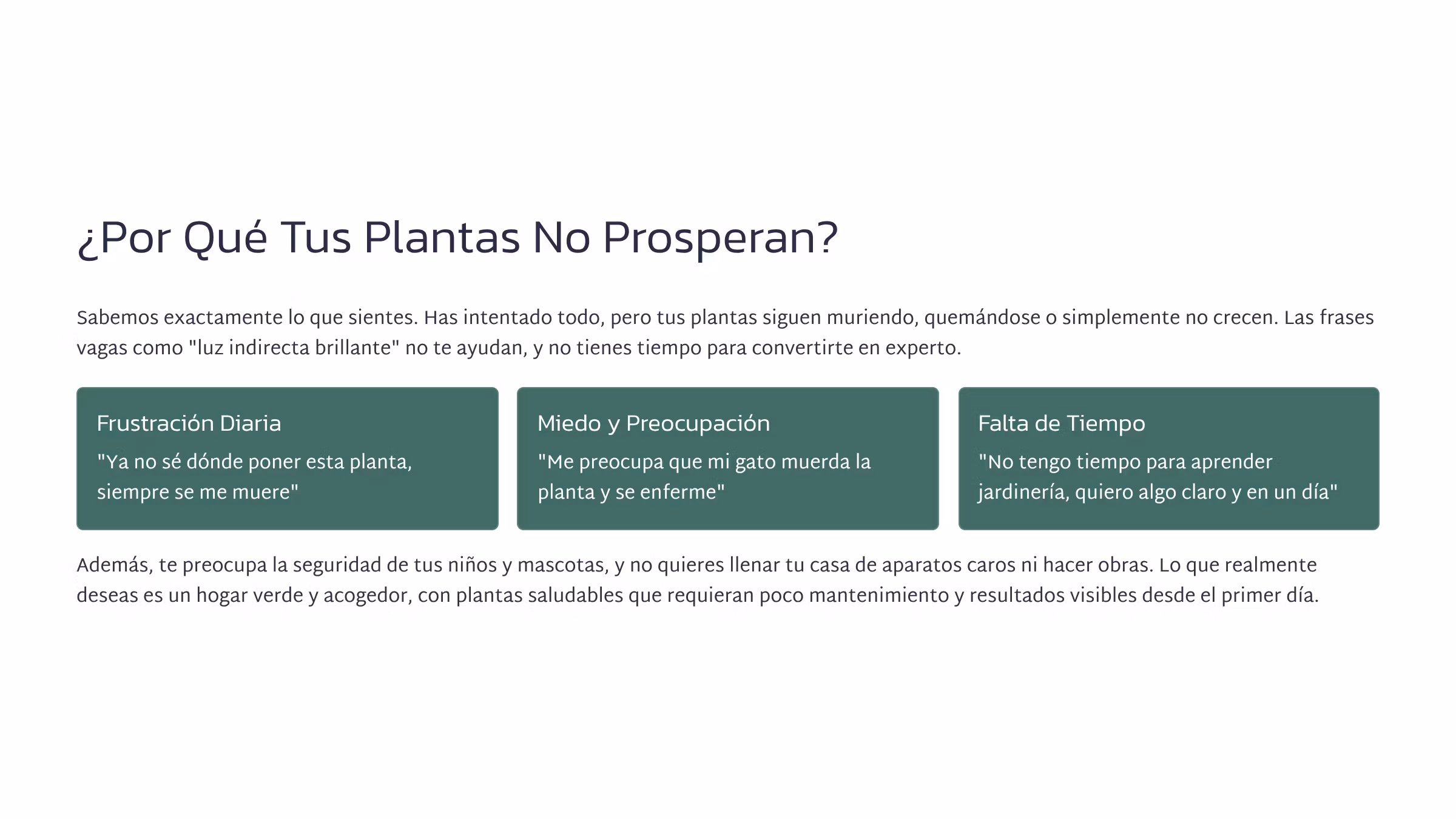 Plantas Felices En Un Día