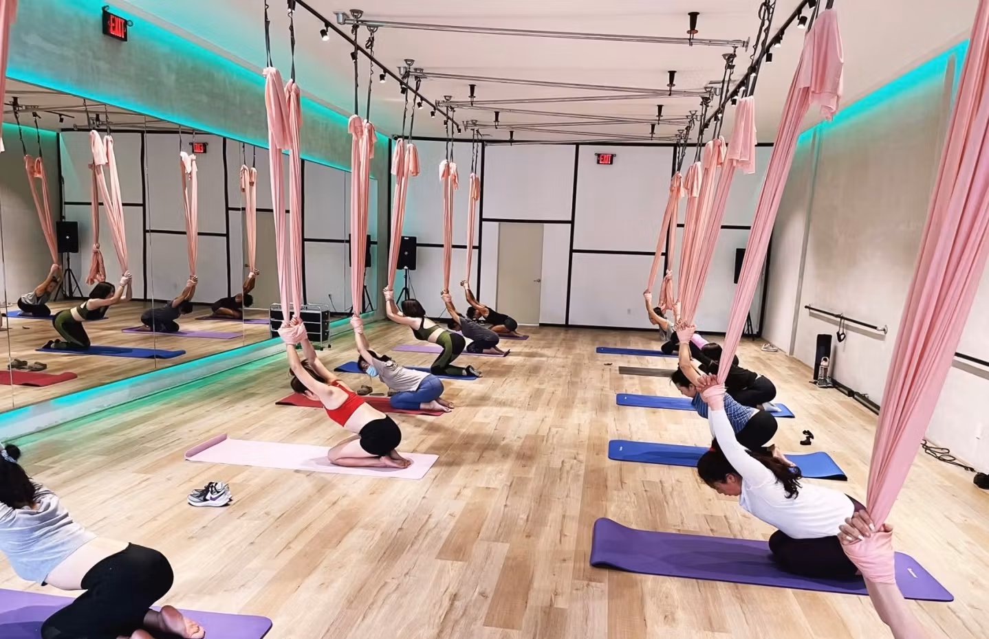 The Pilates Prenatal Collectio