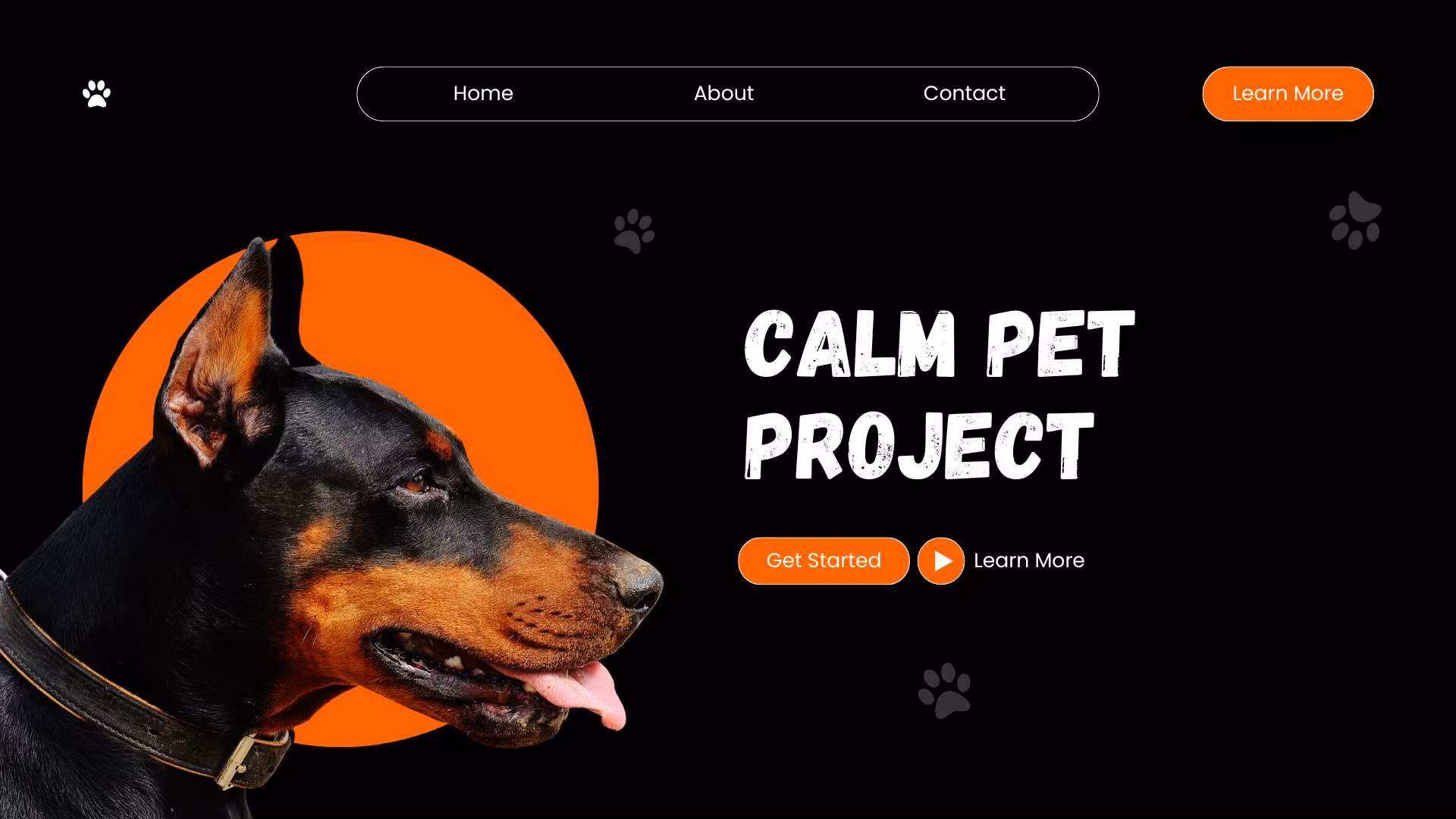 The Calm Pet Project