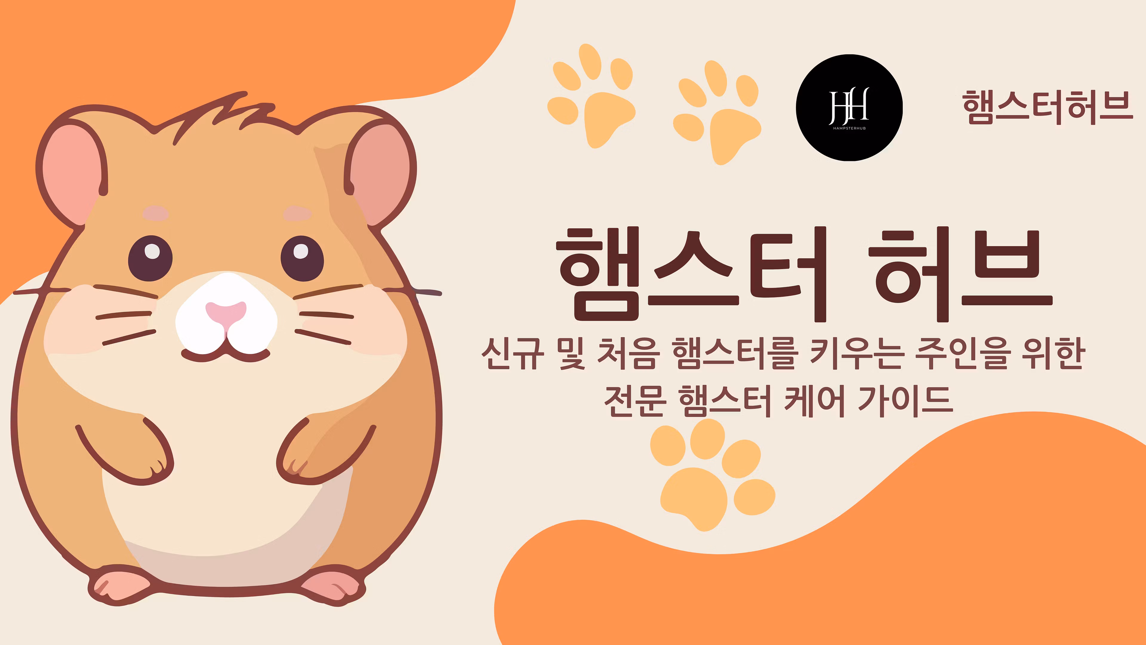 새 주인을 위한 햄스터 케어 가이드
