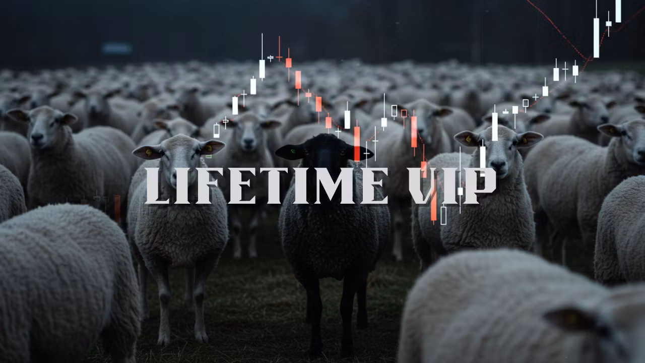 Lifetime Vip TradingSheep