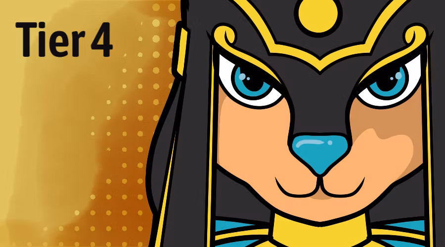 Tier 4 Donation Reward