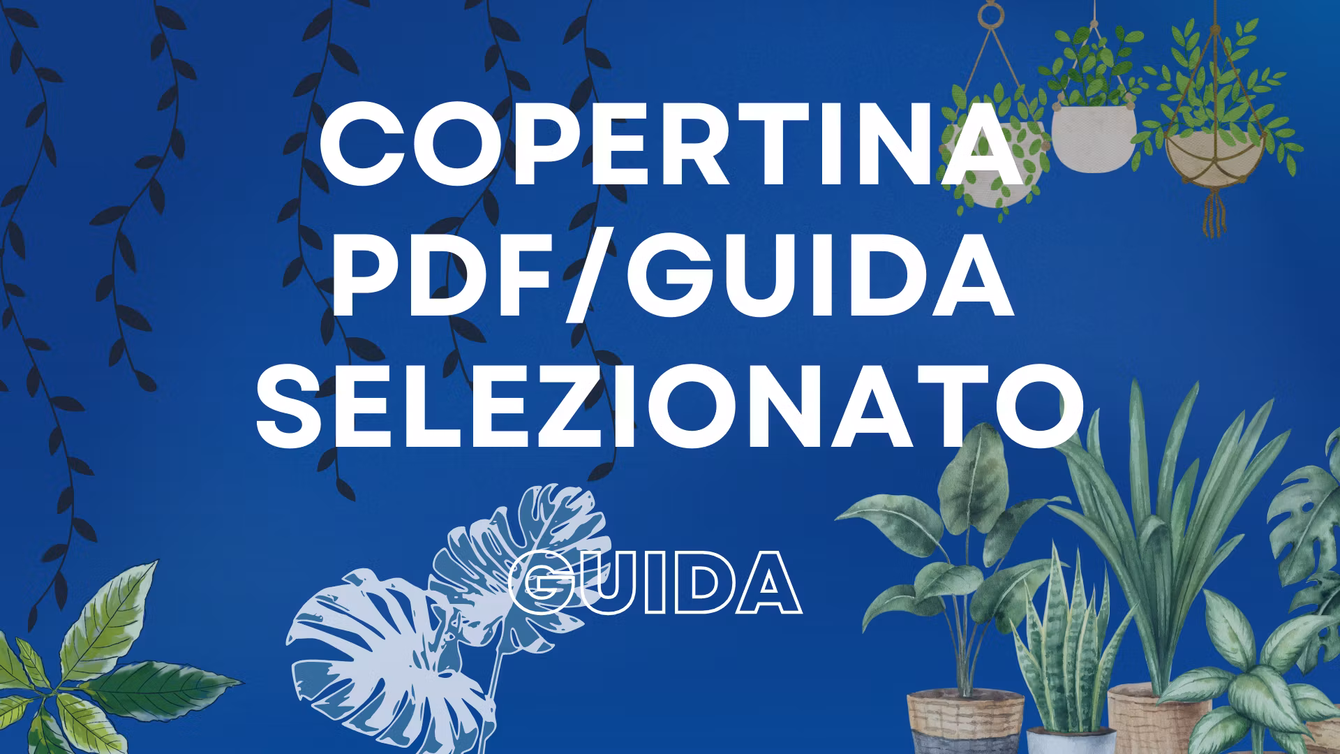 PDF/Guida Selezionato 2