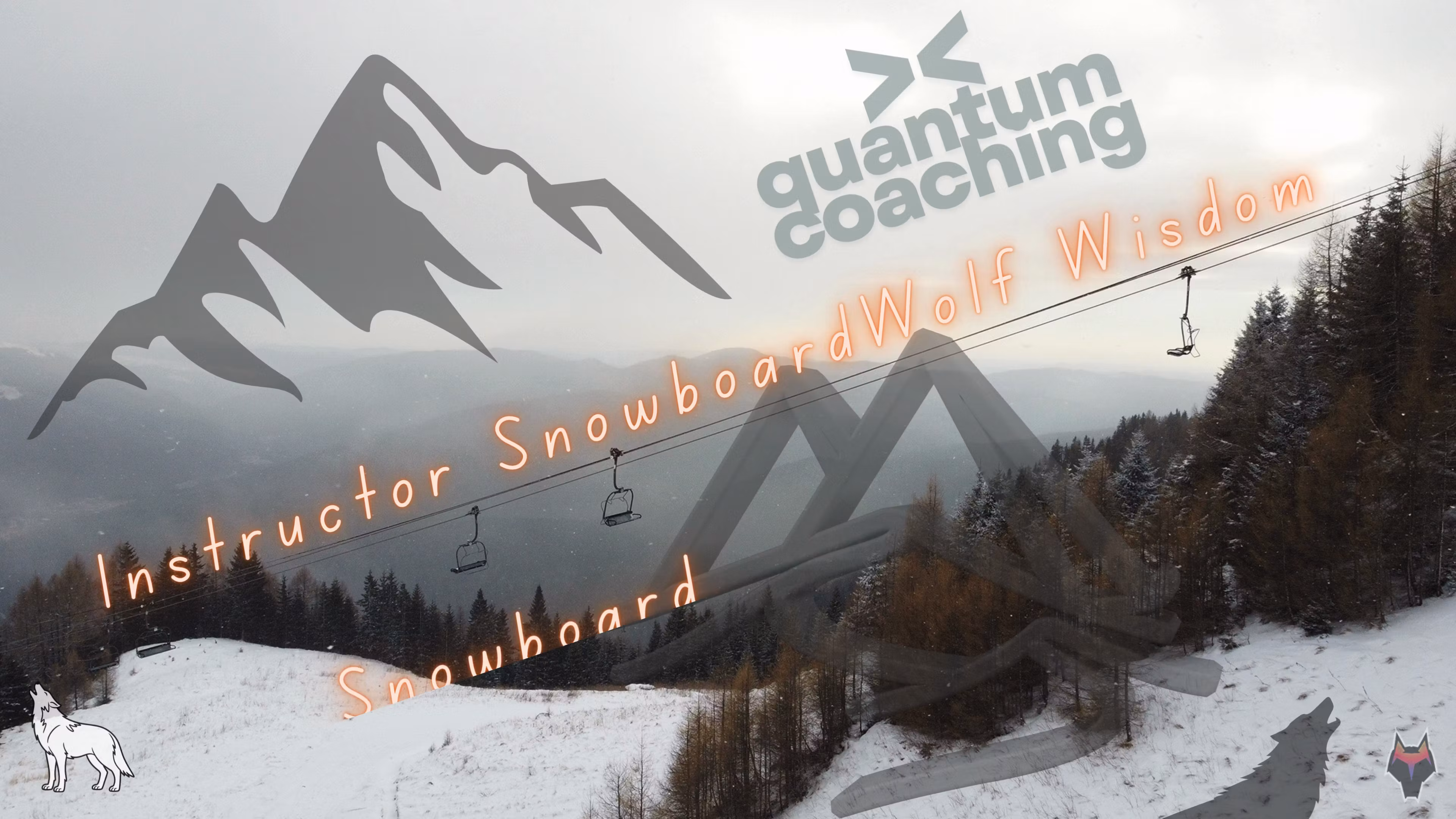 Asistență la Schi / Snowboard