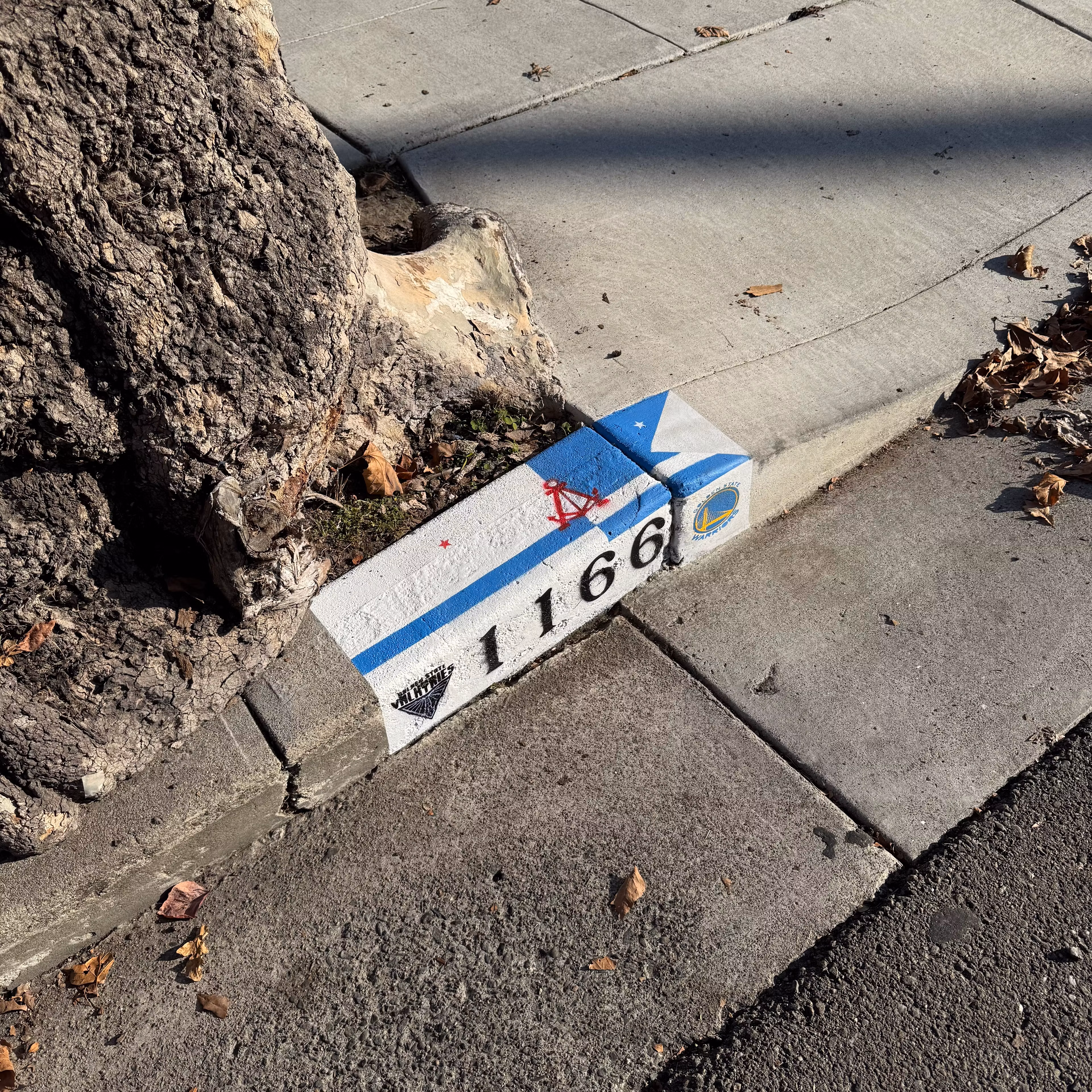 Custom Flag + 2 Logos 