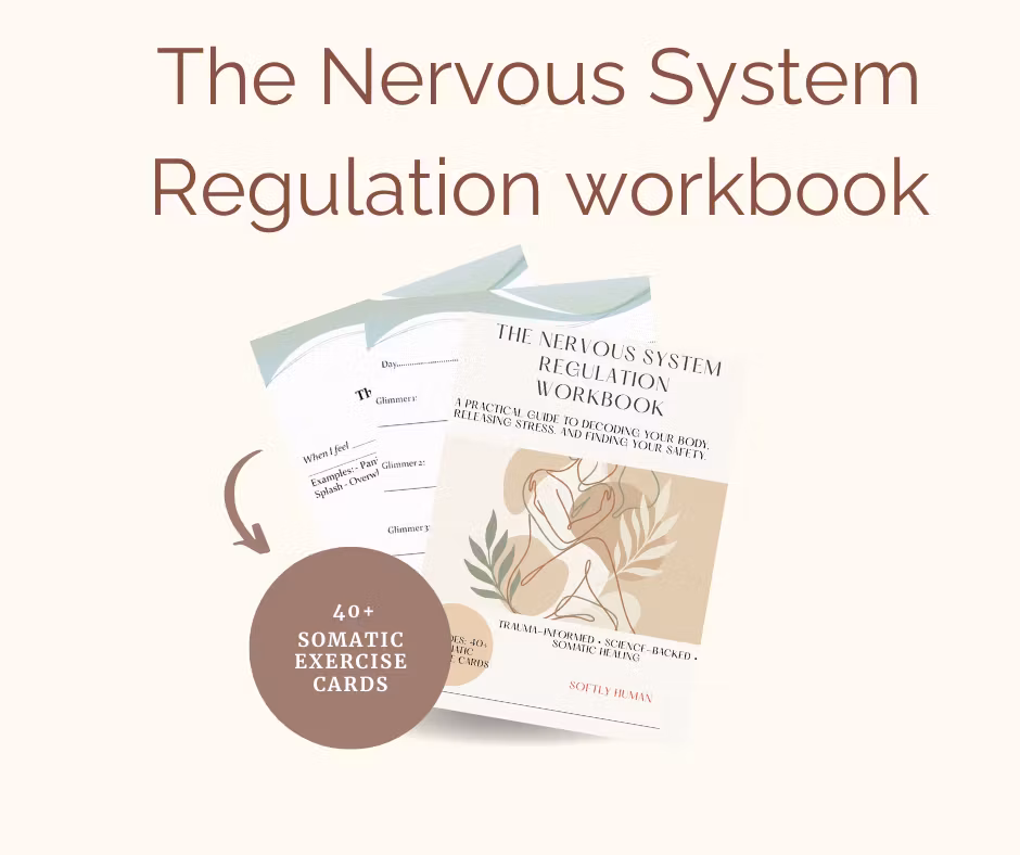 The Nervous System Regulation 