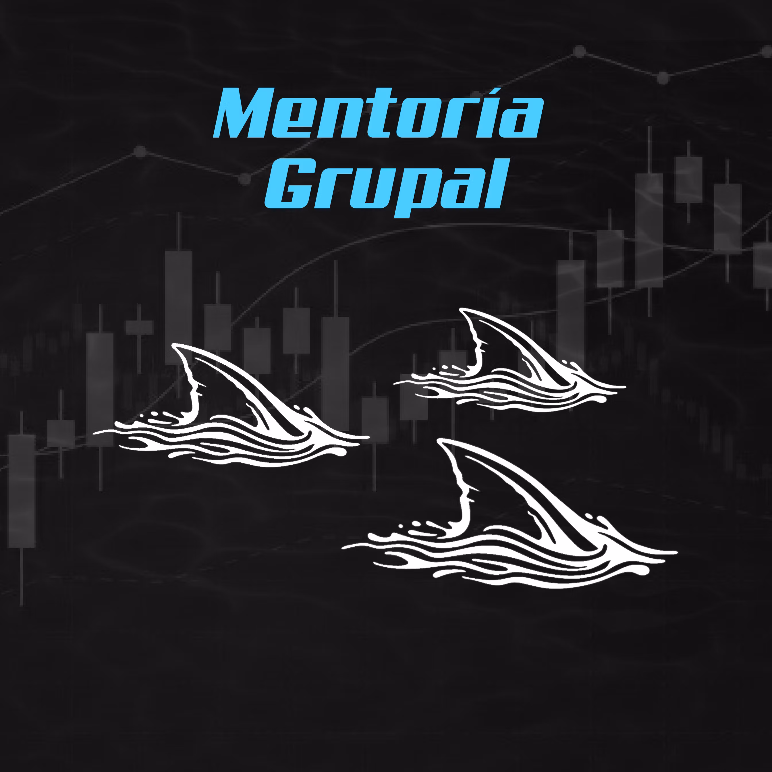 Mentoria de Trading Grupal