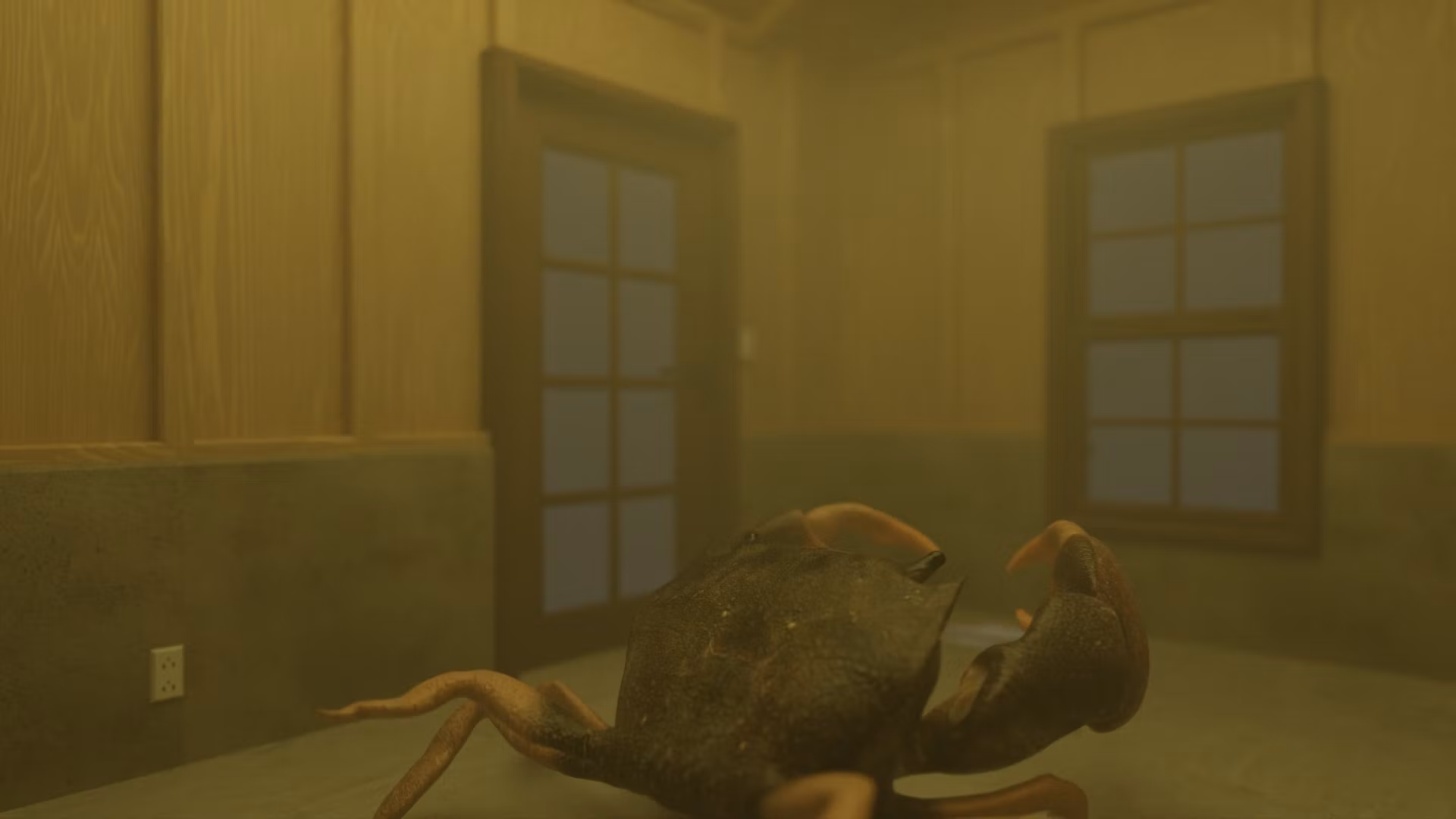 Video Cangrejo-REDES SOCIALES