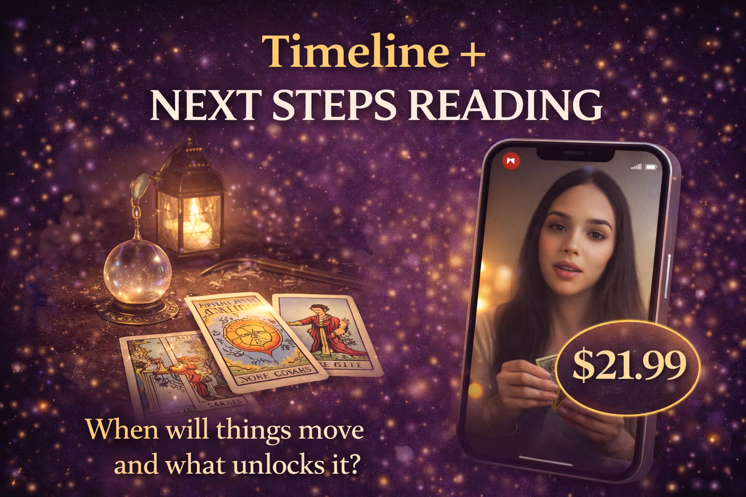 Timeline + Next Steps