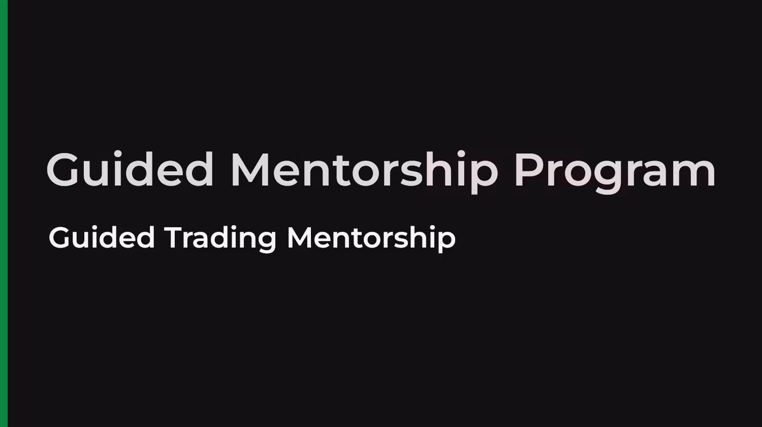 Guided Mentorship Program