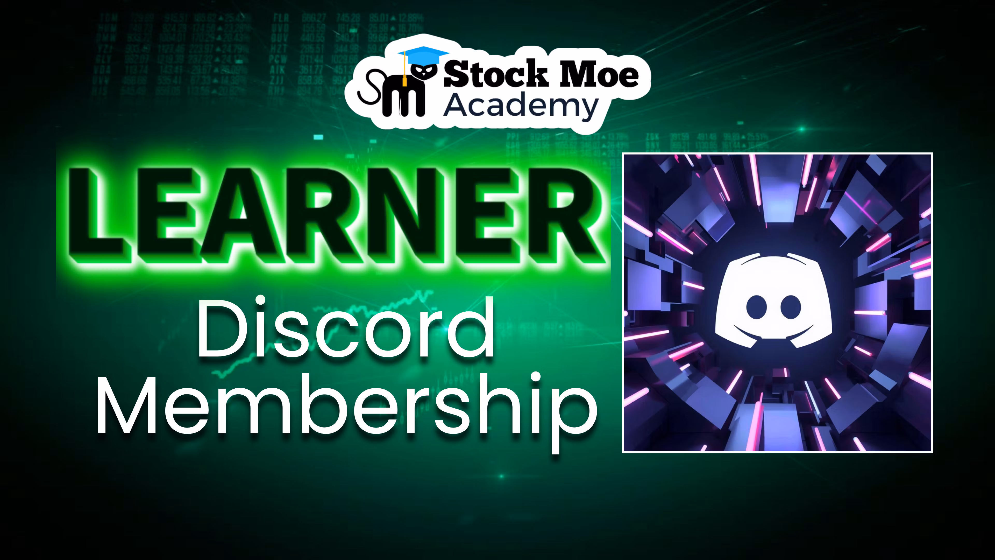 Stock Moe Learner Discord
