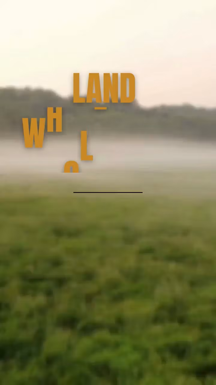 Exactly How to Wholesale Land 