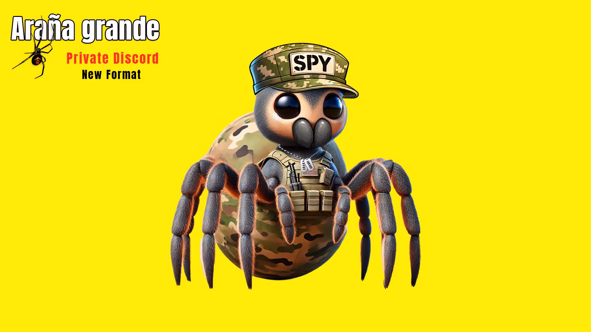 Private Discord (New Format)