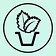 Mint Alpha
