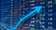 Only Winners Live Stocks
