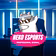 Neko Esport Signal