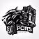 Buhl Sports Group