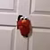 Elmo Store