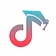 TikTok Academy