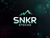 SNKR STOCK NUMBERS