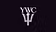 The Young Wealth Club