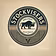 StockVisers