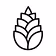 Pinha Agency