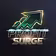 Profit Surge