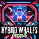 Hybrid Whales DEGENS