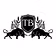 Twin Bulls Trading Network 