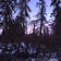 Our beautiful scenery 