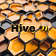 Drone Bees | Hive Collective 