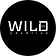 The Outdoor Creative Program 
