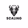 Bizon Scaling