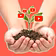Growing YouTubers