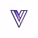 ViralVisions