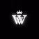 WealthVisonary Academy