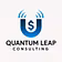 Quantun Leap Consulting