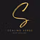 Scaling Verse LLC
