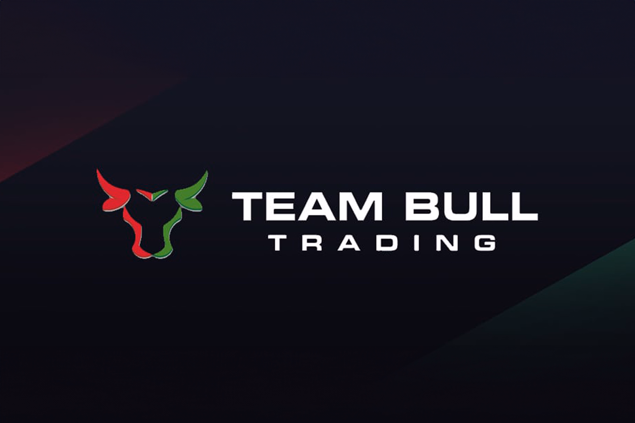Team Bull Trading Master Mentor Program