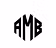 AMB CONSULTANT SERVICES CORP