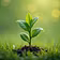 Smart Lawn Series