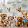 The canine code