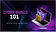 CyberShield 101
