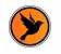 Blackbird Digital PR