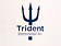Trident Remodel AI